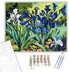  Íriszek Színpompája - számfestő készlet - 40×50 cm (Keretre feszítve)
