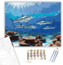 Számfestő Cápák a Trópusi Vizekben - számfestő készlet - 40×50 cm (Keretre feszítve) (crea6177-40X50-KF)