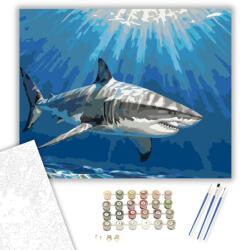  Nagy Fehér Cápa a Vízfelszín Alatt - számfestő készlet - 40×50 cm (Keretre feszítve)