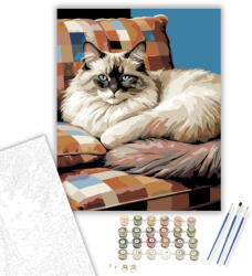  Alvó Ragdoll Macska - számfestő készlet - 50×60 cm (Keretre feszítve)