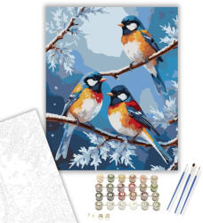  Színes Madarak a Fagyos Ágon - számfestő készlet - 40×50 cm (Keretre feszítve)