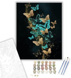 Számfestő Pillangók sötétben - számfestő készlet - 40×50 cm (Keretre feszítve) (crea158-40X50-KF)