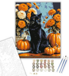  Fekete macska őszi tökök között - számfestő készlet - 40×50 cm (Keretre feszítve)