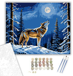 Holdfényes Erdő Szerenád - számfestő készlet - 40×50 cm (Keretre feszítve)