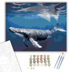  Humpback Bálna a Tiszta Víz Alatt - számfestő készlet - 40×50 cm (Keretre feszítve)