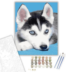 Számfestő Husky kölyök - számfestő készlet - 40×50 cm (Keretre feszítve) (crea277-40X50-KF)