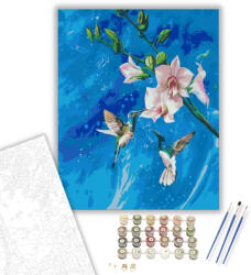  Kolibrik tánca - számfestő készlet - 40×50 cm (Keretre feszítve)