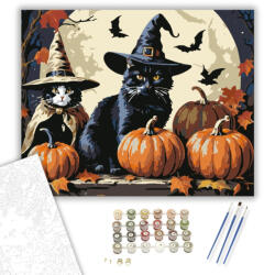 Számfestő Boszorkányos Cicák - számfestő készlet - 40×50 cm (Keretre feszítve) (crea3048-40X50-KF)