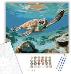  Fiatal Tengeri Teknős Kalandja - számfestő készlet - 40×50 cm (Keretre feszítve)