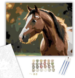  Pezsgő Pej Ló Naplementében - számfestő készlet - 40×50 cm (Keretre feszítve)