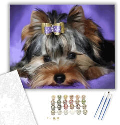 Számfestő Yorki - számfestő készlet - 40×50 cm (Keretre feszítve) (crea463-40X50-KF)