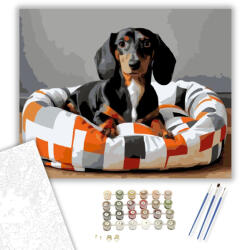 Számfestő Tacskó a Modern Mintás Ágyon - számfestő készlet - 40×50 cm (Keretre feszítve) (crea5845-40X50-KF)