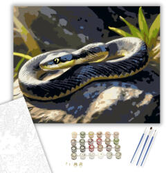 Számfestő Tekergőző Kígyó a Napfényes Sziklán - számfestő készlet - 40×50 cm (Keretre feszítve) (crea6193-40X50-KF)