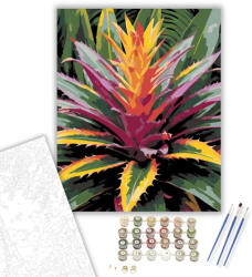  Színpompás Bromélia - számfestő készlet - 40×50 cm (Keretre feszítve)