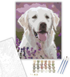  Kutya a levendulák között - számfestő készlet - 40×50 cm (Keretre feszítve)
