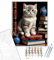  Gondolkodó Brit Rövidszőrű Kiscica - számfestő készlet - 40×50 cm (Keretre feszítve)