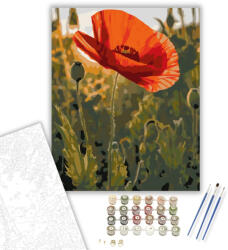  Naplementében Ragyogó Pipacs - számfestő készlet - 40×50 cm (Keretre feszítve)