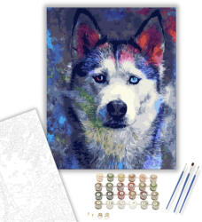 Számfestő Husky kutya - számfestő készlet - 40×50 cm (Keretre feszítve) (crea503-40X50-KF)