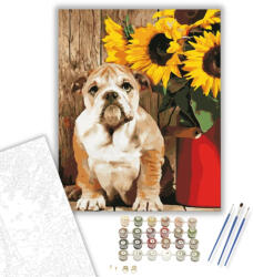  Bulldog - számfestő készlet - 40×50 cm (Keretre feszítve)