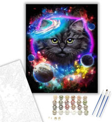  Cica a galaxisban - számfestő készlet - 40×50 cm (Keretre feszítve)