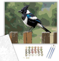  Szarkamadár a Kerítésen - számfestő készlet - 40×50 cm (Keretre feszítve)