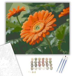  Narancssárga Gerbera Katicabogárral - számfestő készlet - 40×50 cm (Keretre feszítve)