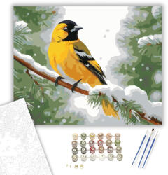  Havas Ágon Ülő Sárga Oriole - számfestő készlet - 40×50 cm (Keretre feszítve)