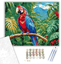 Számfestő Ara Papagáj a Dzsungelben - számfestő készlet - 40×50 cm (Keretre feszítve) (crea5960-40X50-KF)
