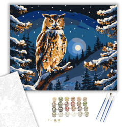  Éjszakai Bagoly Harmóniája - számfestő készlet - 40×50 cm (Keretre feszítve)