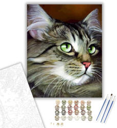  Zöld szemű cica - számfestő készlet - 40×50 cm (Keretre feszítve)