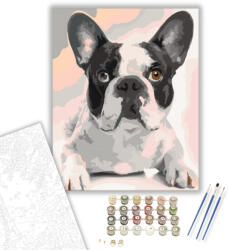  Fekete Fehér Bulldog - számfestő készlet - 40×50 cm (Keretre feszítve)