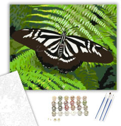 Számfestő Zebra Csíkos Pillangó Páfrányon - számfestő készlet - 40×50 cm (Keretre feszítve) (crea6209-40X50-KF)