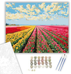  Tarka Tulipánmező - számfestő készlet - 40×50 cm (Keretre feszítve)