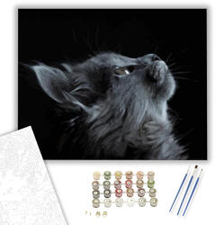 Számfestő Szürke macska tekintete - számfestő készlet - 40×50 cm (Keretre feszítve) (crea602-40X50-KF)
