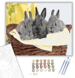 Számfestő Szürke nyuszik - számfestő készlet - 40×50 cm (Keretre feszítve) (crea442-40X50-KF)