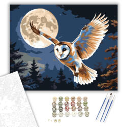  Bagoly Éjszakai Röpte - számfestő készlet - 40×50 cm (Keretre feszítve)