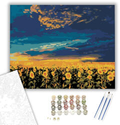 Napraforgó Könyvkiadó Föld - számfestő készlet - 40×50 cm (Keretre feszítve)