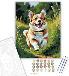  Corgi Fut a Mezőn - számfestő készlet - 50×60 cm (Keretre feszítve)