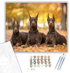 Számfestő Dobermannok - számfestő készlet - 40×50 cm (Keretre feszítve) (crea012-40X50-KF)