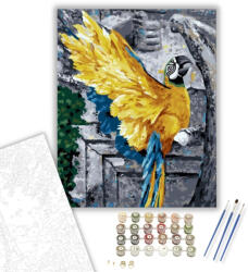 Számfestő Mérges papagáj - számfestő készlet - 40×50 cm (Keretre feszítve) (crea379-40X50-KF)