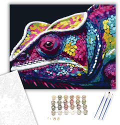  Neon Színű Kaméleon - számfestő készlet - 40×50 cm (Keretre feszítve)
