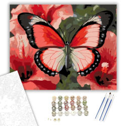  Üvegszárnyú Pillangó Hibiszkuszon - számfestő készlet - 40×50 cm (Keretre feszítve)
