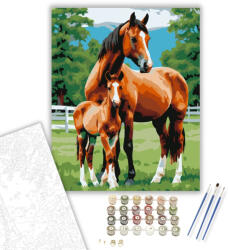  Ménes Anyai Szeretet - számfestő készlet - 40×50 cm (Keretre feszítve)