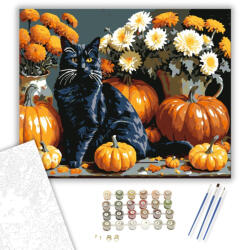  Fekete macska és őszi tökök - számfestő készlet - 40×50 cm (Keretre feszítve)