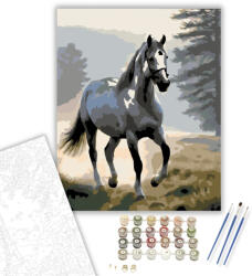 Számfestő Szürke Ló a Ködös Völgyben - számfestő készlet - 40×50 cm (Keretre feszítve) (crea5921-40X50-KF)