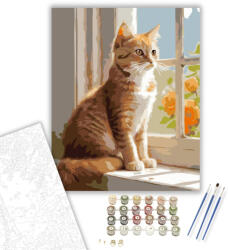 Számfestő Napfényben Ülő Vörös Cirmos Kiscica - számfestő készlet - 40×50 cm (Keretre feszítve) (crea5882-40X50-KF)