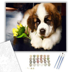 Számfestő Bernáthegyi virággal - számfestő készlet - 40×50 cm (Keretre feszítve) (crea573-40X50-KF)