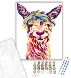  Színes Láma - számfestő készlet - 40×50 cm (Keretre feszítve)