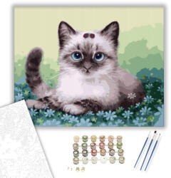  Kiscica a virágokban - számfestő készlet - 40×50 cm (Keretre feszítve)