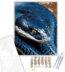 Számfestő Kobra Kiterjesztett Csuklyával - számfestő készlet - 40×50 cm (Keretre feszítve) (crea6194-40X50-KF)